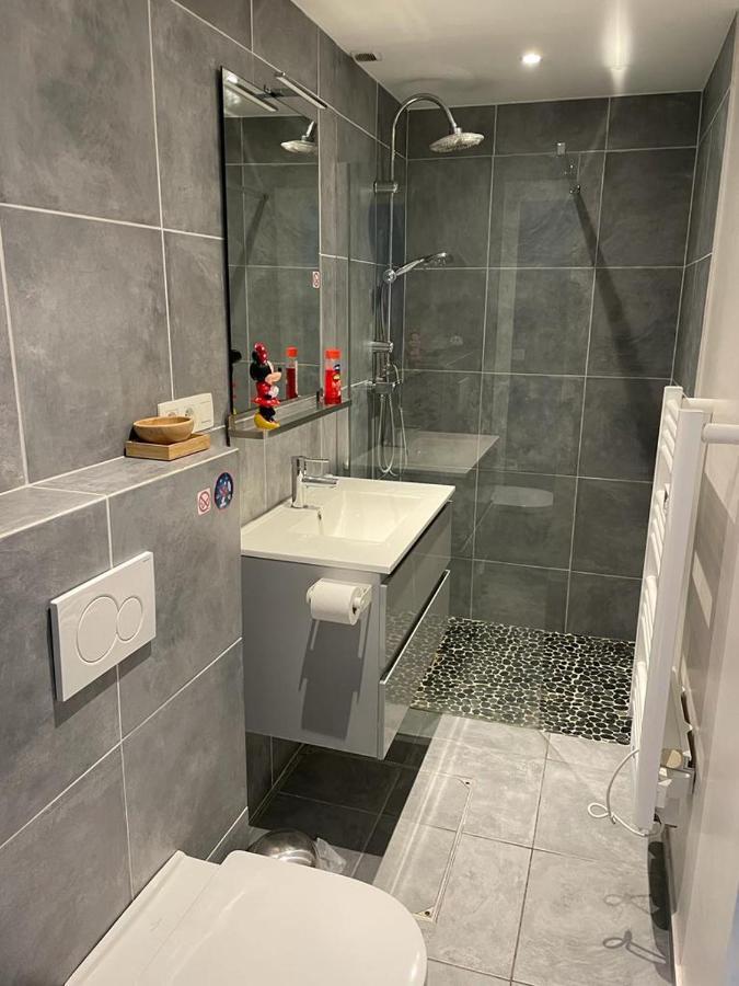 Appartement 5 Personnes Avec Acces Piscine Et Jacuzzi Villers-la-Ville Εξωτερικό φωτογραφία